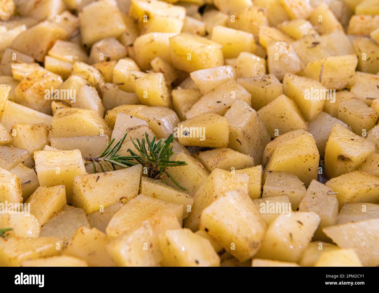 Roasted Potato with rosemary. Selective focus with with shallow depth on field Stock Photo