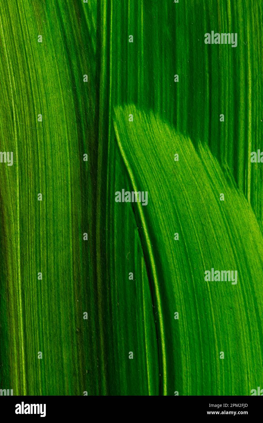 Paint stripes hi-res stock photography and images - Alamy