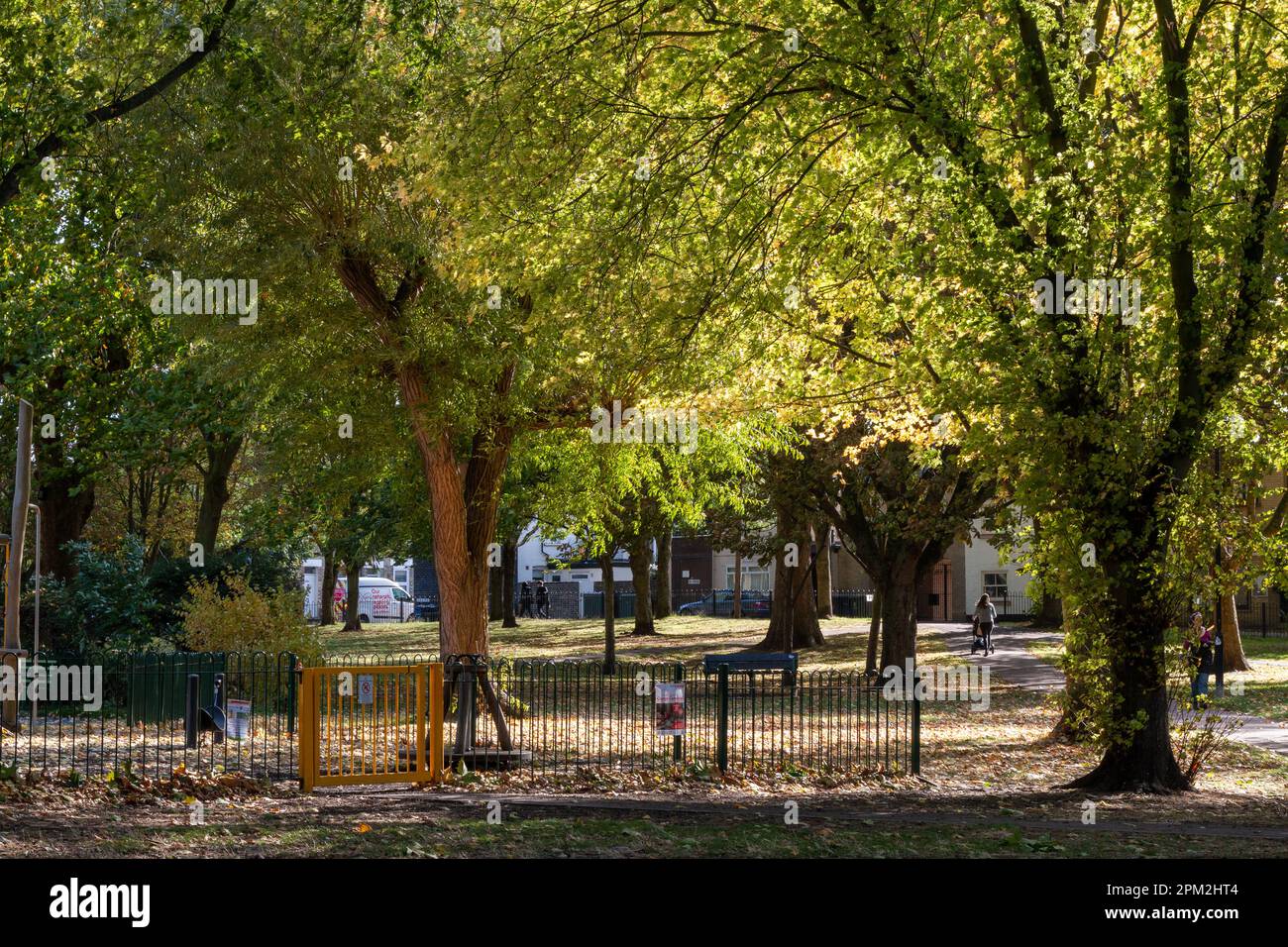 A view across St Matthews Piece, a small park, in Cambridge, UK with the sunlight shining through the leaves on the trees. Stock Photo