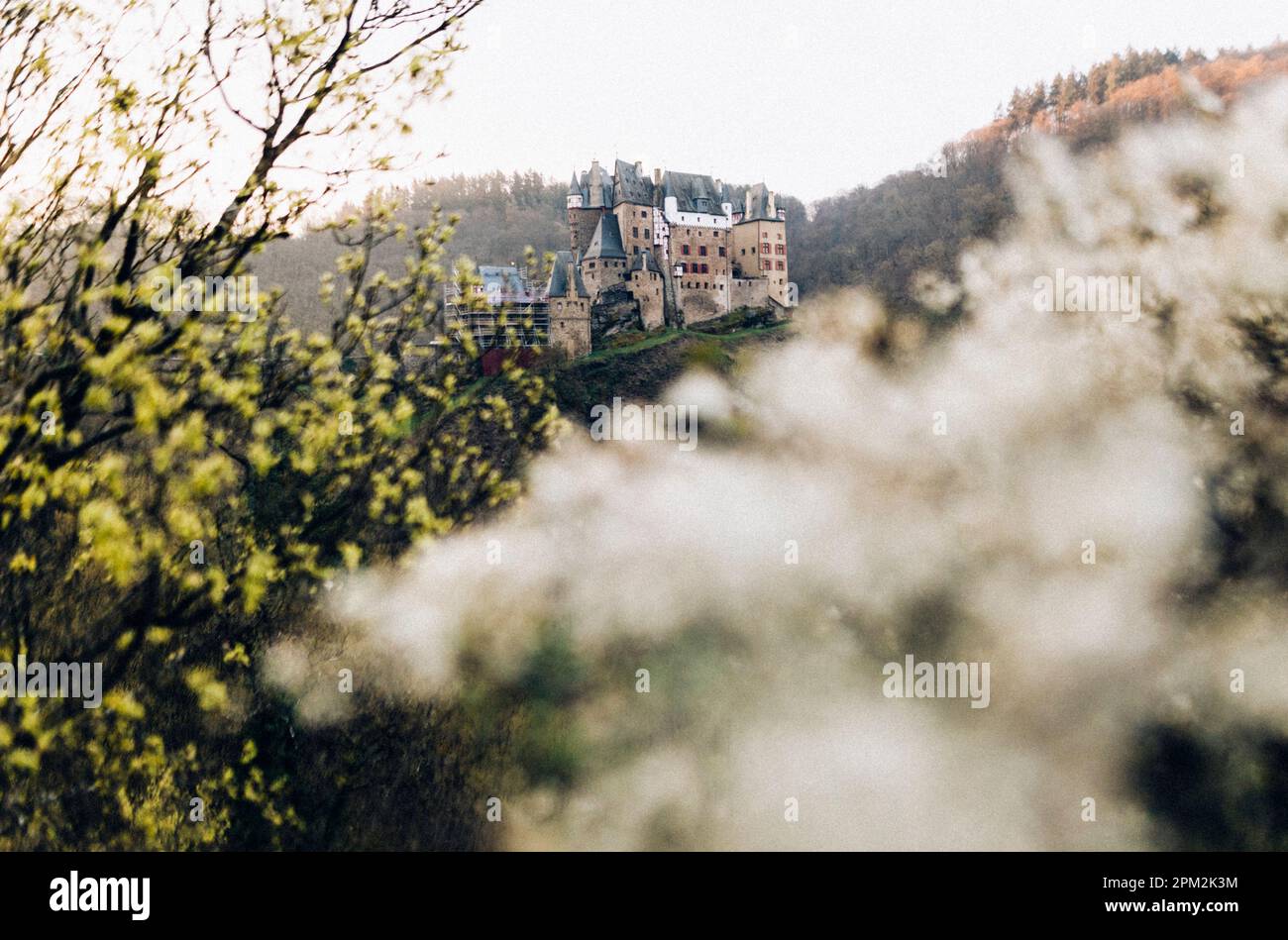 Wierschem, 09.04.23 Burg Eltz im Tal der Eltz, einem linken Nebenfluss der Mosel Stock Photo