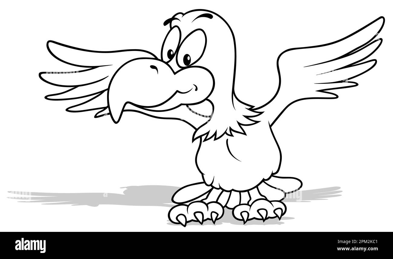 Drawing of a Bald Eagle with Outstretched Wings Stock Vector Image