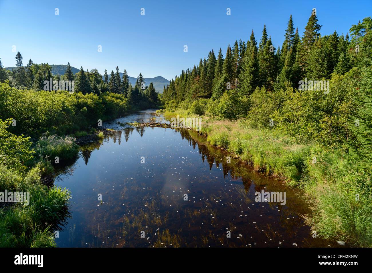 Mount Katahdin campsite Nesowadnehunk river in Baxster State Park Stock Photo