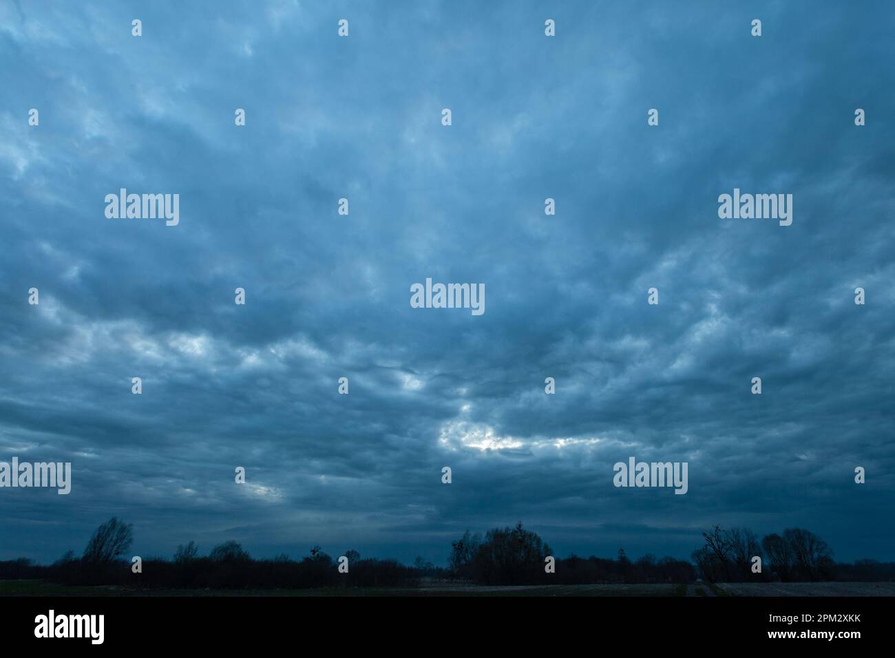 Abstract dark storm clouds over trees, spring evening view Stock Photo