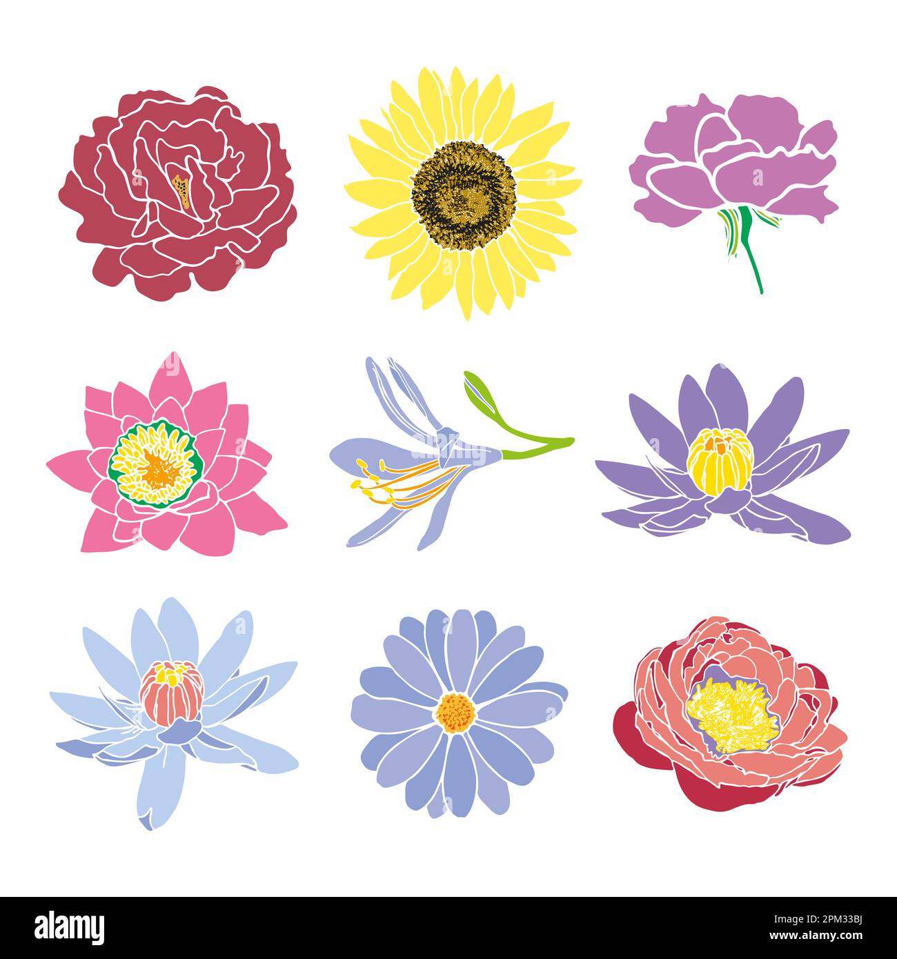 Carnation Outline Images – Browse 2,405 Stock Photos, Vectors, and Video