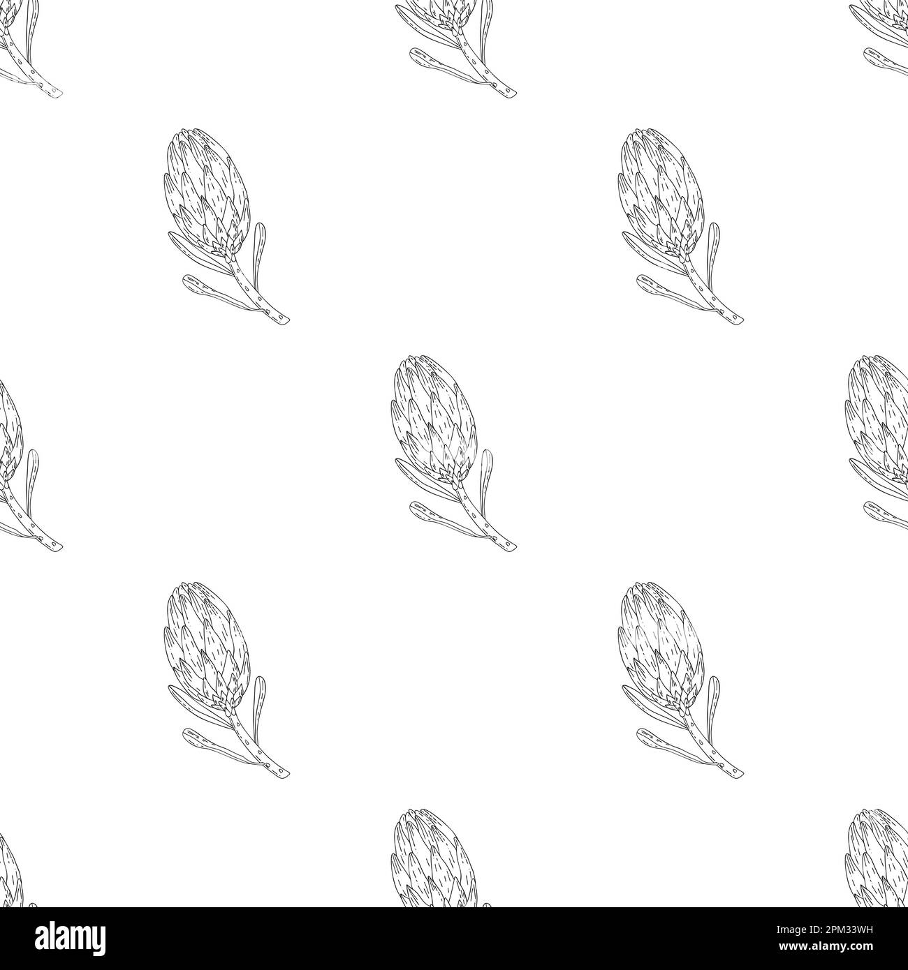 Hand drawn vector seamless pattern of graphic king protea Stock Vector ...