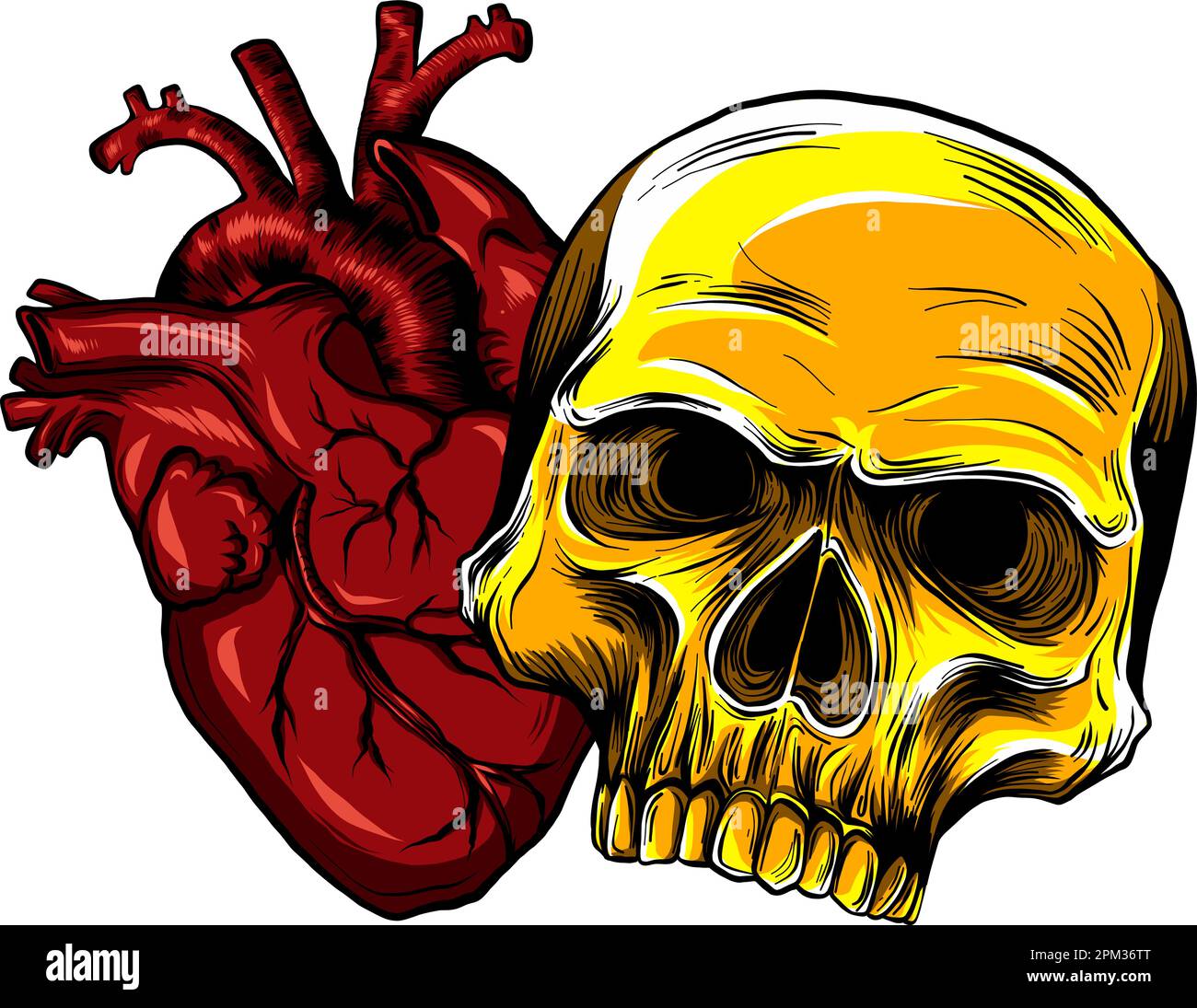human skull with heart vector illustration design digital hand draw Stock Vector