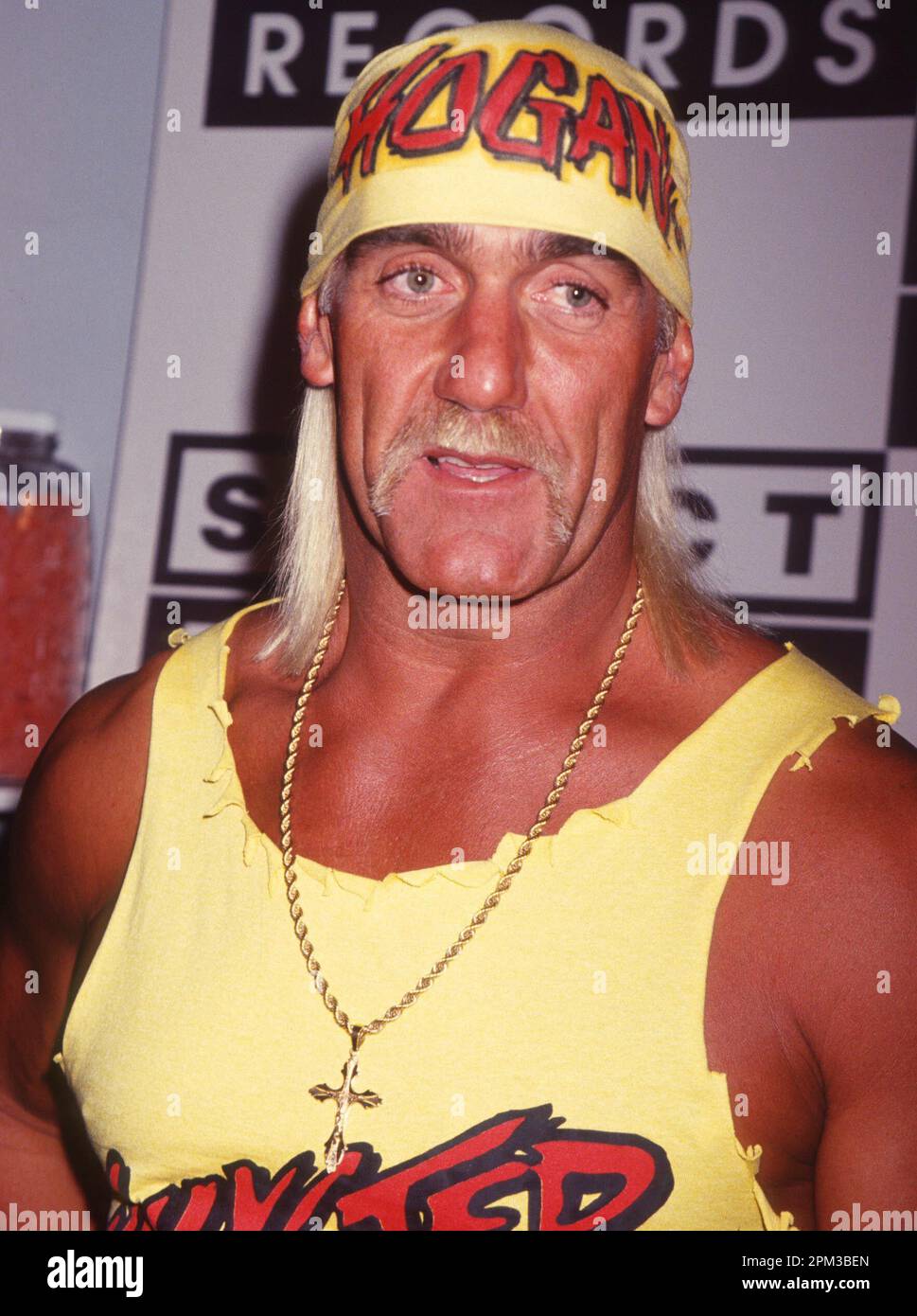 1995 Hulk Hogan Photo by John Barrett/PHOTOlink Stock Photo - Alamy