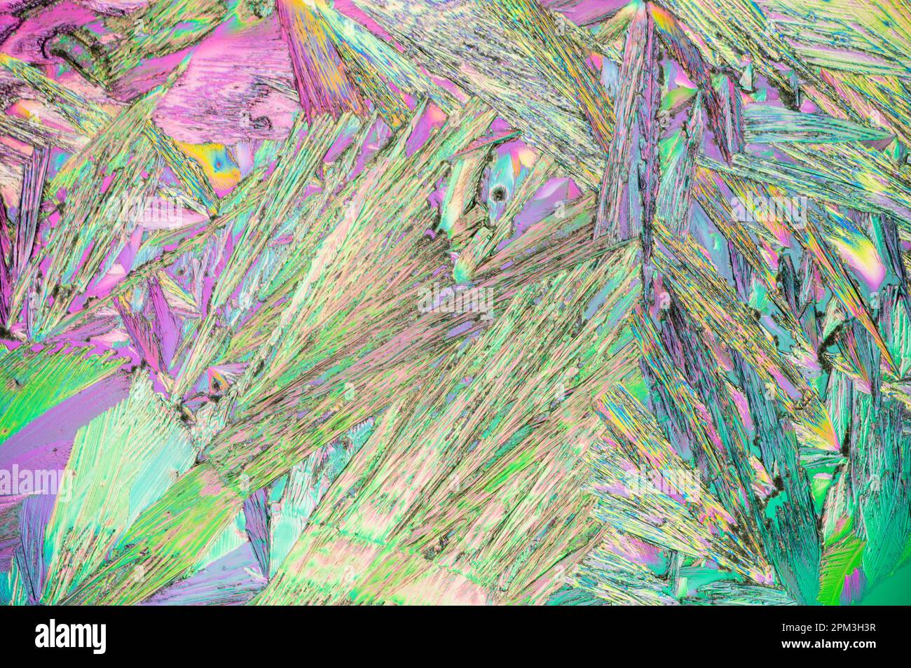 Urea crystals on a microscope slide Stock Photo Alamy