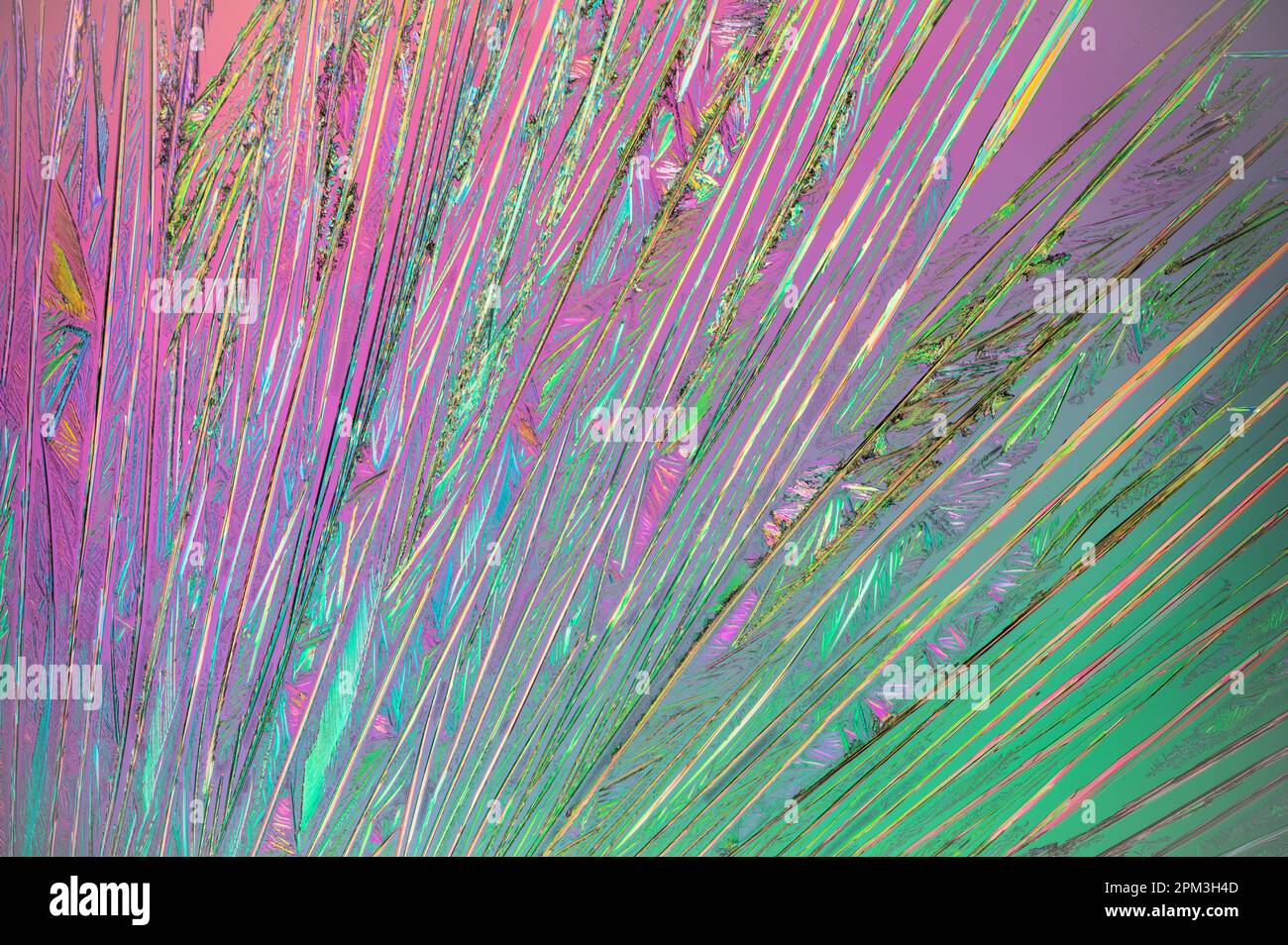 Urea crystals on a microscope slide Stock Photo Alamy