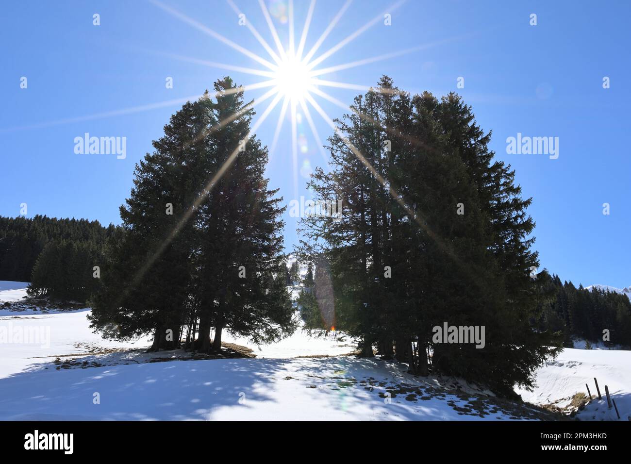 Schweizer Alpen, Schnee, rmu foto Stock Photo