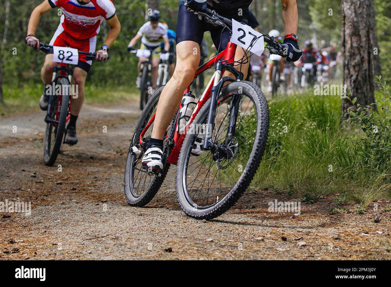 group mountainbikers riding cross-country cycling competition,  race in forest trail Stock Photo