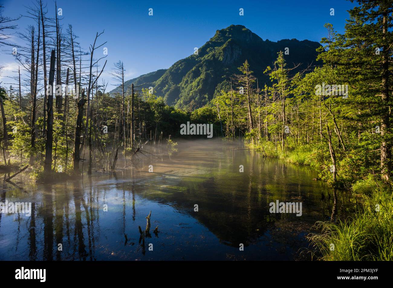 Early morning mist and reflections at Myojin Pond Kamikochi, designated an area of Special Places of scenic Beauty, Nagano Prefecture, Japan. Stock Photo