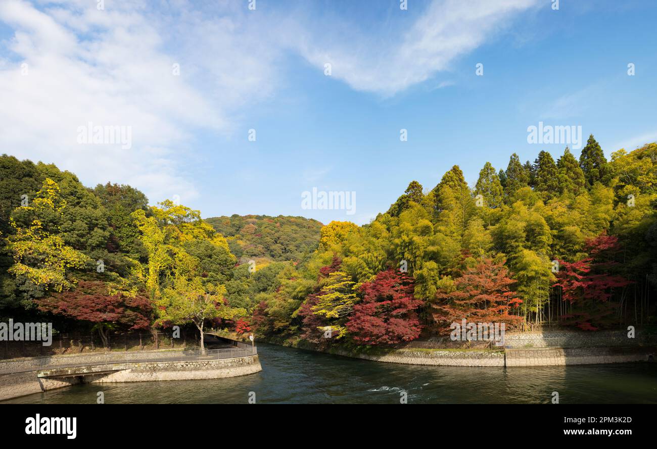 Autumn colour, Uji, south of Kyoto, Japan. Stock Photo