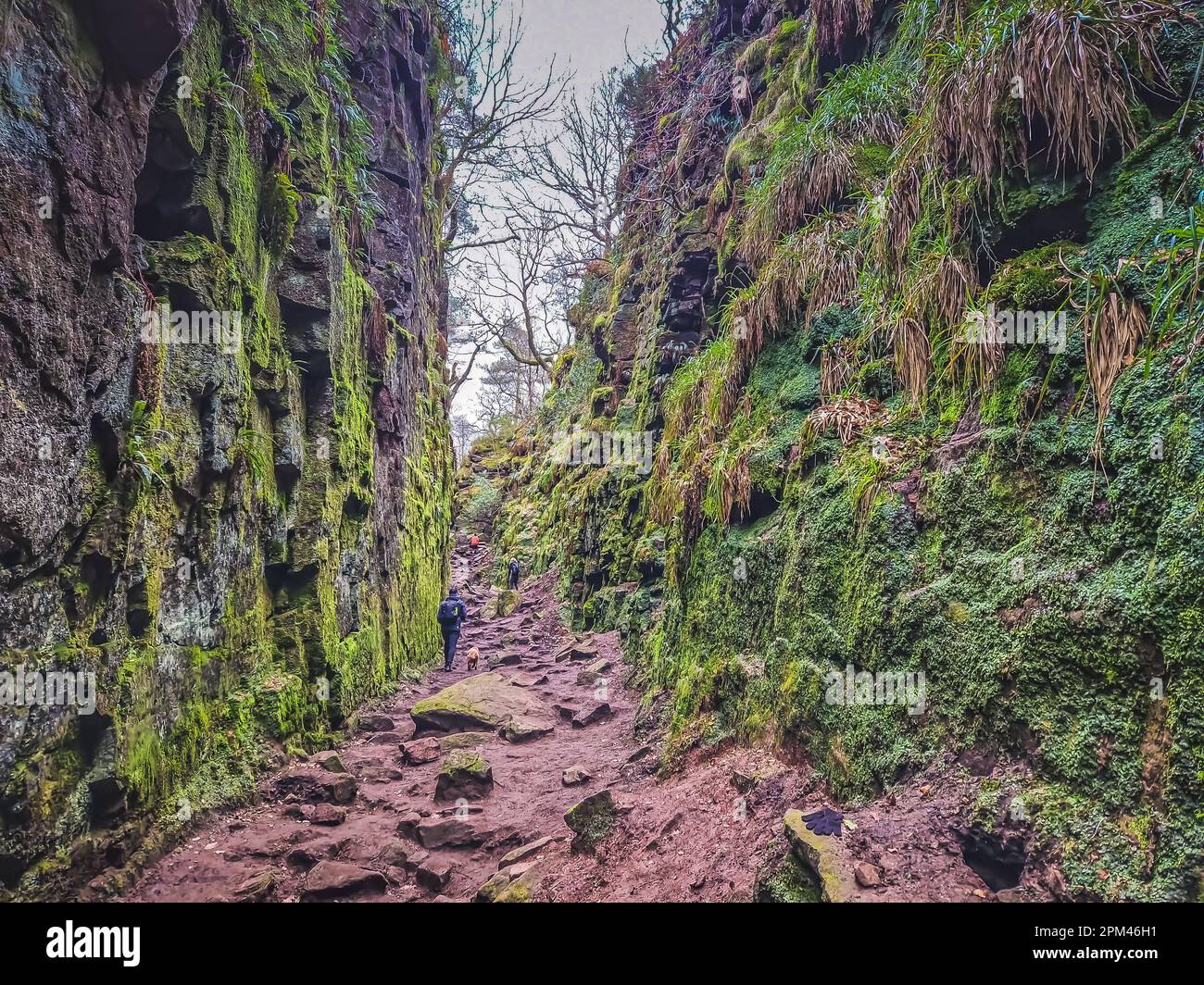 A mystical chasm , where moss-covered walls create a natural cathedral, steeped in history, legends, and connections to 'Sir Gawain and the Green Knig Stock Photo