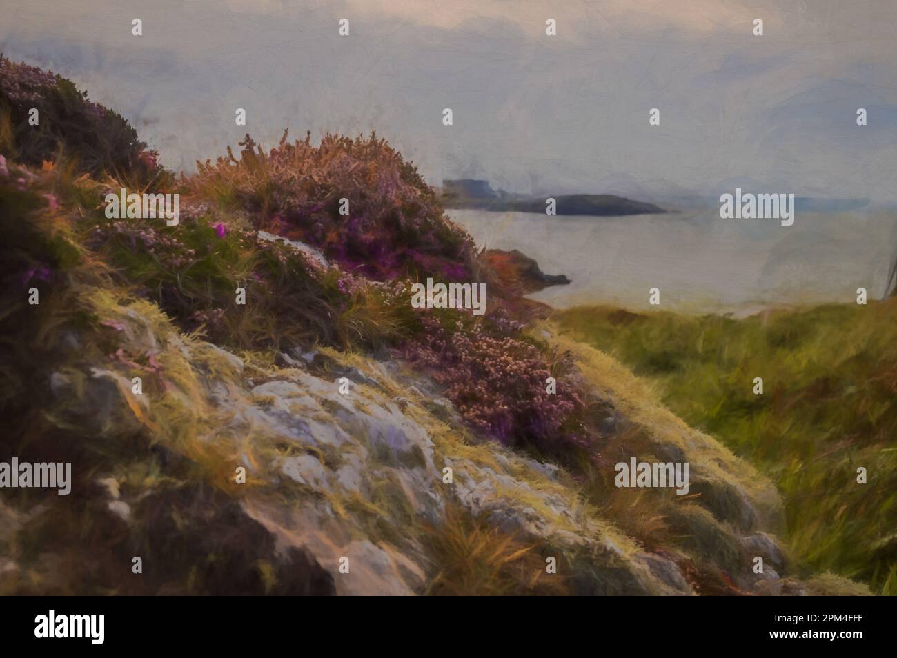 Digital painting of white rocks covered in lichen and beautiful purple Bell Heather overlooking the bay in North Wales. Stock Photo