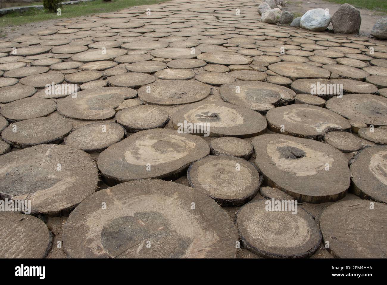 the path is paved with wooden round tiles Stock Photo - Alamy