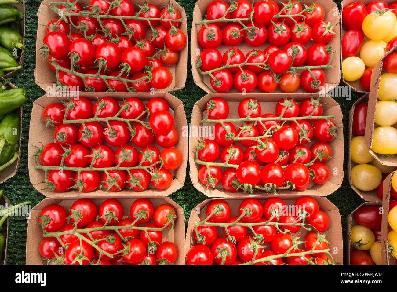 Fresh cheery tomatoes on the vine Stock Photo