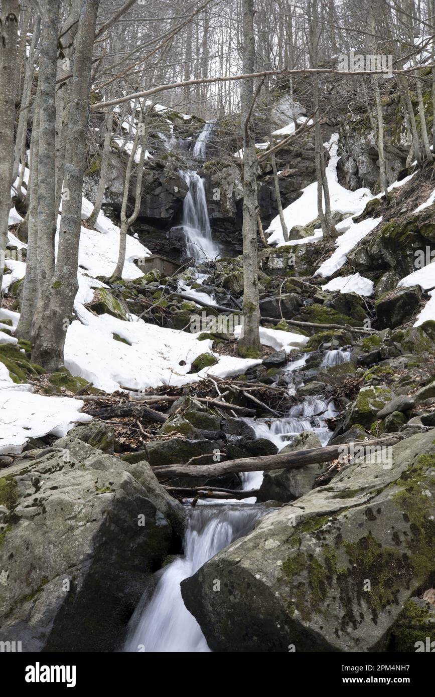 Mountain forest with stream and snow Stock Photo
