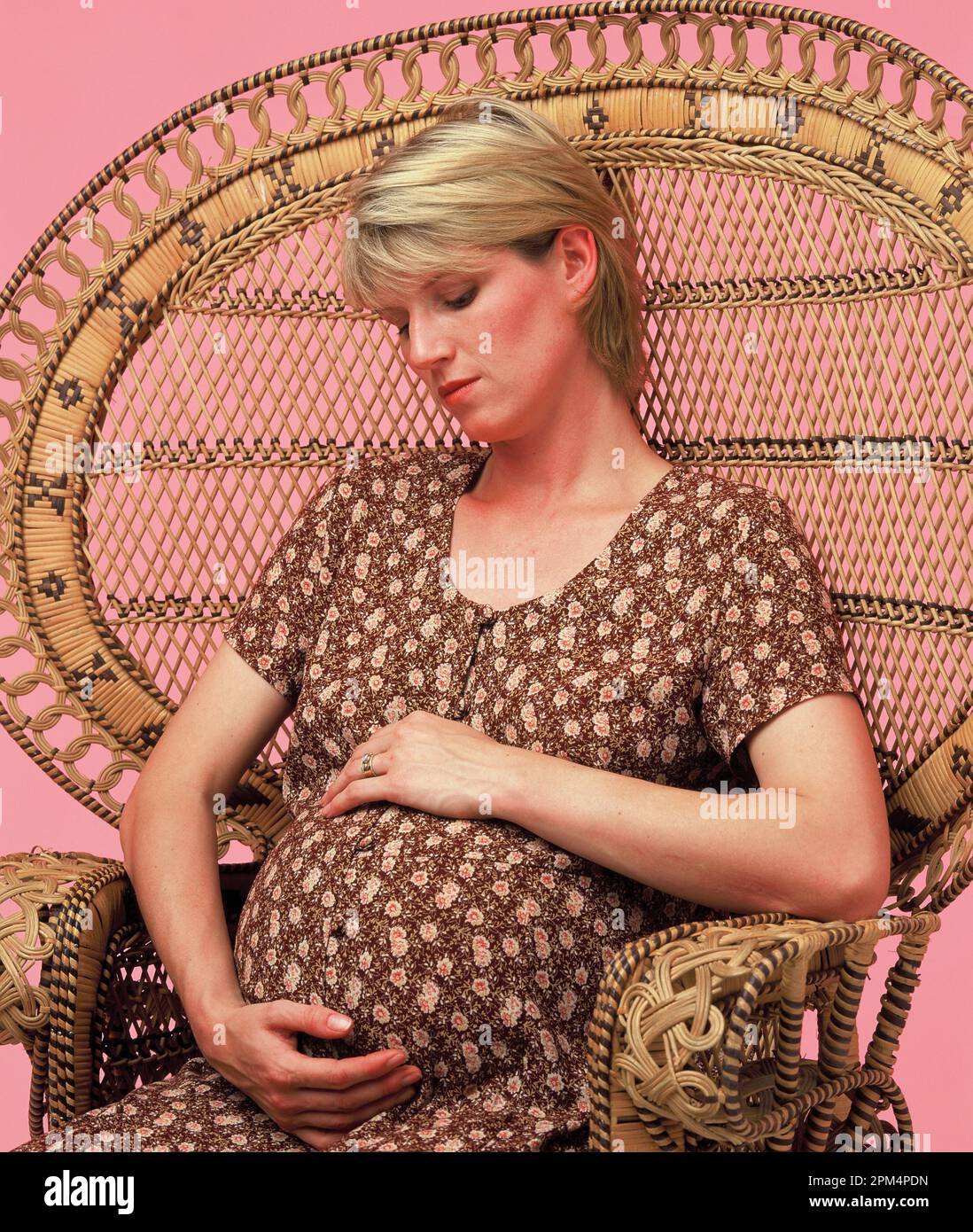 Studio portrait of young, pregnant woman sitting in rattan chair. Stock Photo