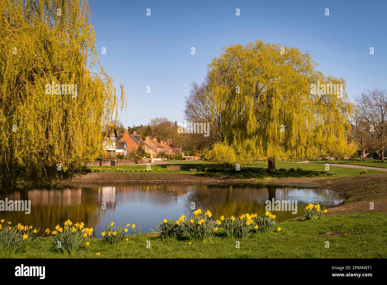 A sunny Spring HDR image of the village green and pond in the picturesque village of Nun Monkton in North Yorkshire, England. 02 April 2023 Stock Photo