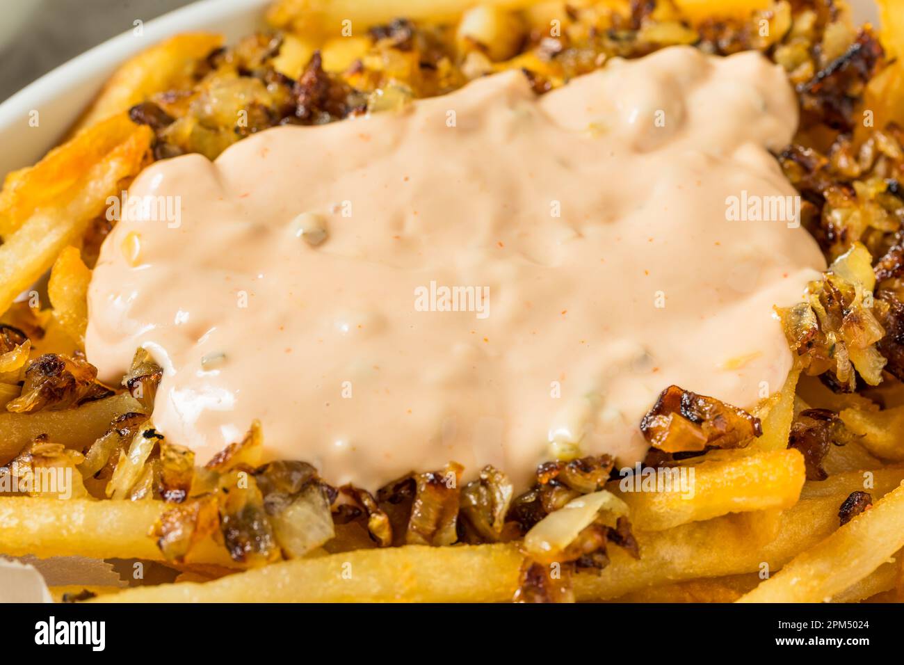 Homemade Animal Loaded French Fries with Onions and Burger Sauce Stock Photo