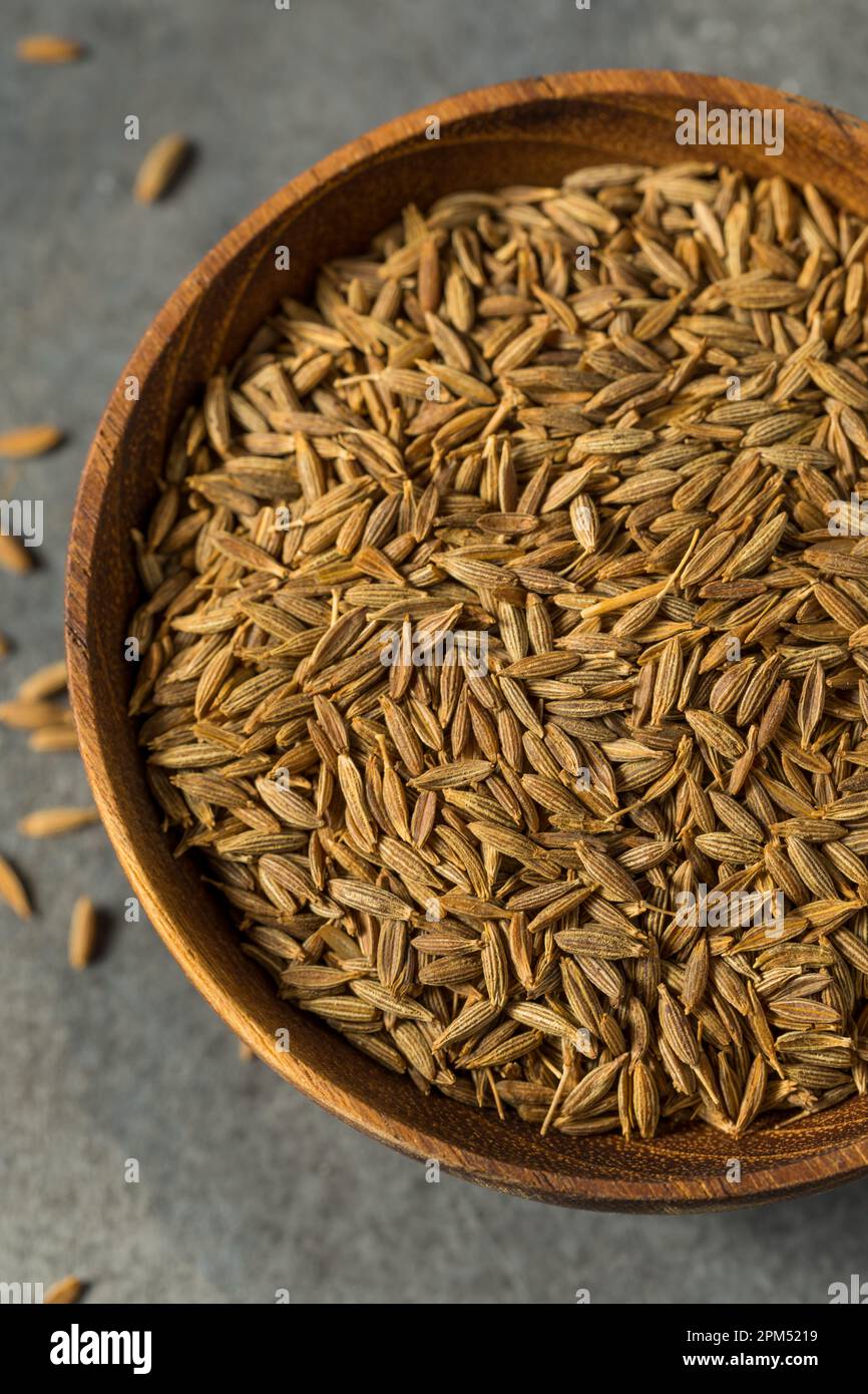 Dry Organic Raw Cumin Seeds in a Bowl Stock Photo Alamy
