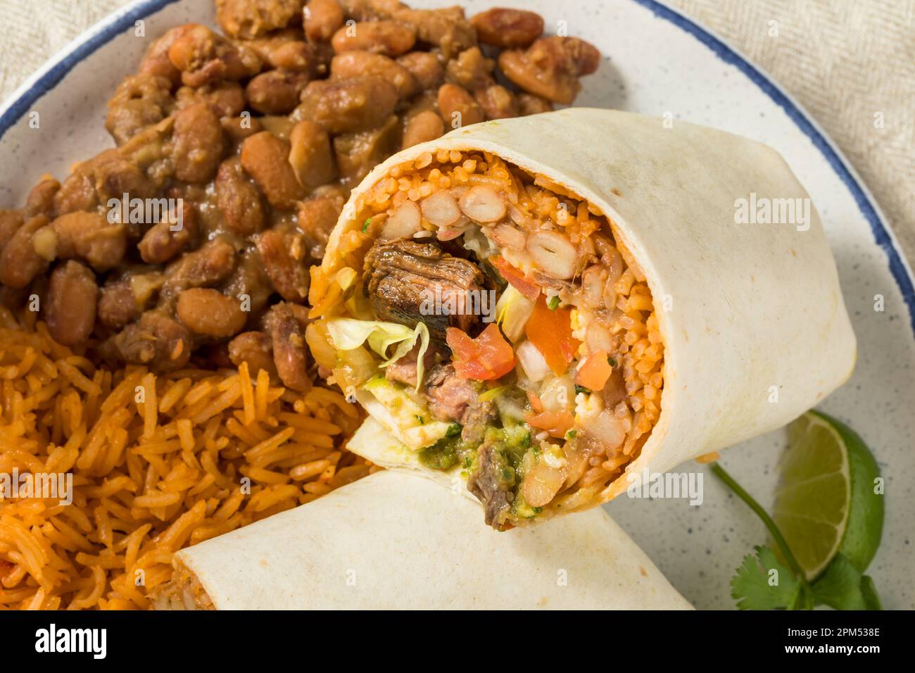 Homemade Mexican Cheesy Steak Burrito with Guacamole and Salsa Stock Photo