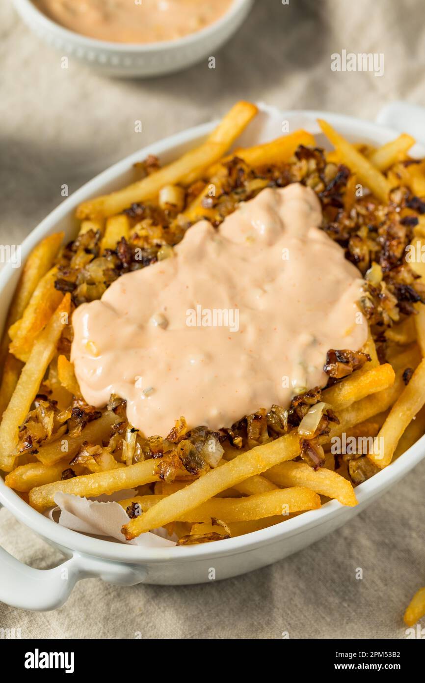 Homemade Animal Loaded French Fries with Onions and Burger Sauce Stock