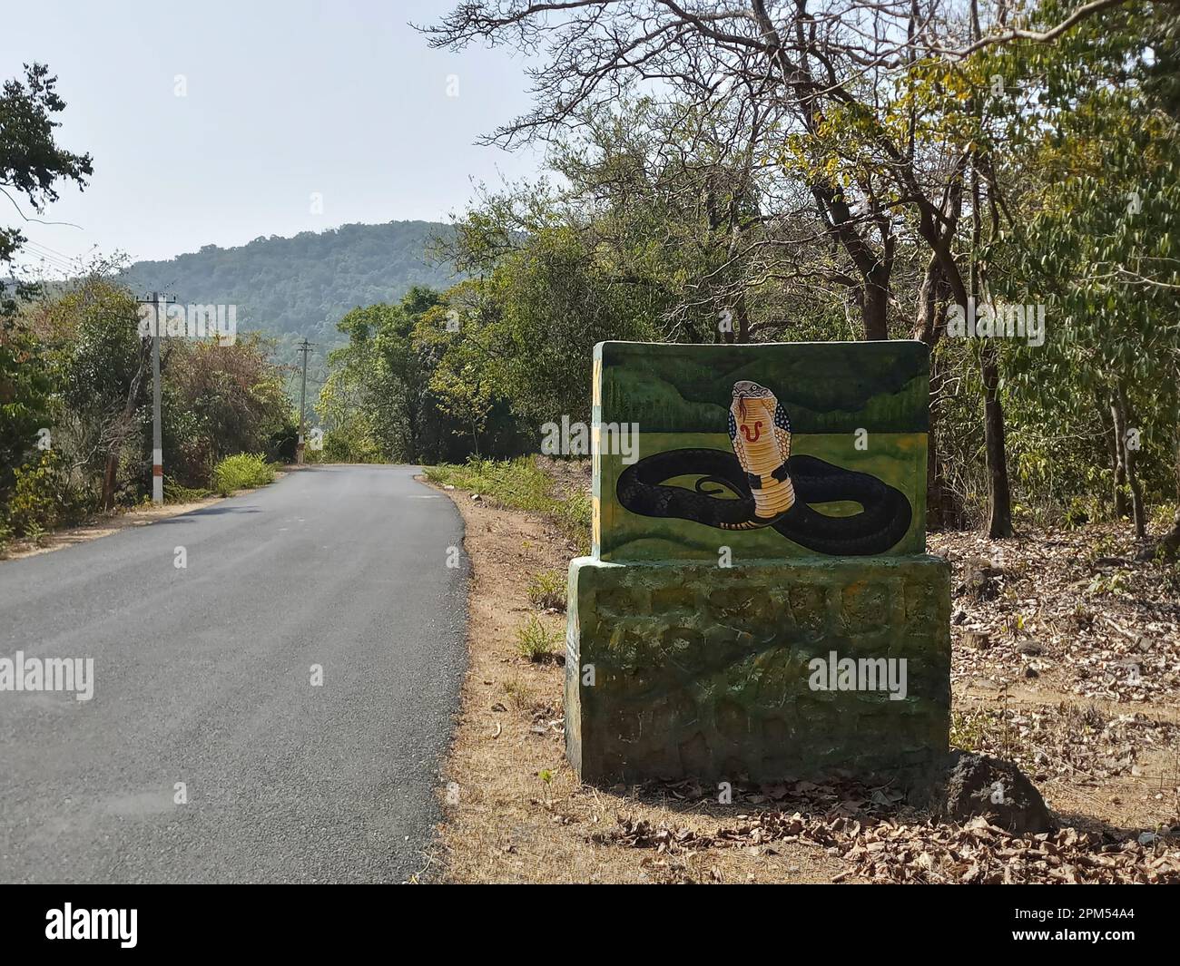 Dandeli, Karnataka, India 18th May 2019 : A king cobra snake, Ophiophagus hannah, on the sign board at Karnataka tiger reserve. Stock Photo