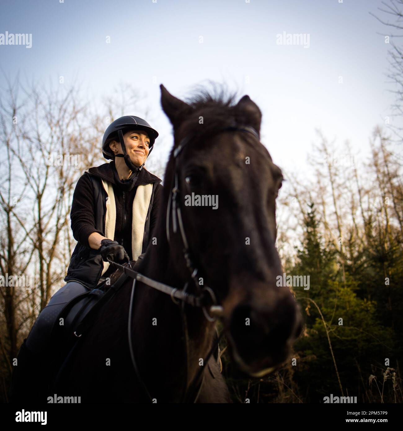 Female horse rider riding outdoors on her lovely horse Stock Photo - Alamy