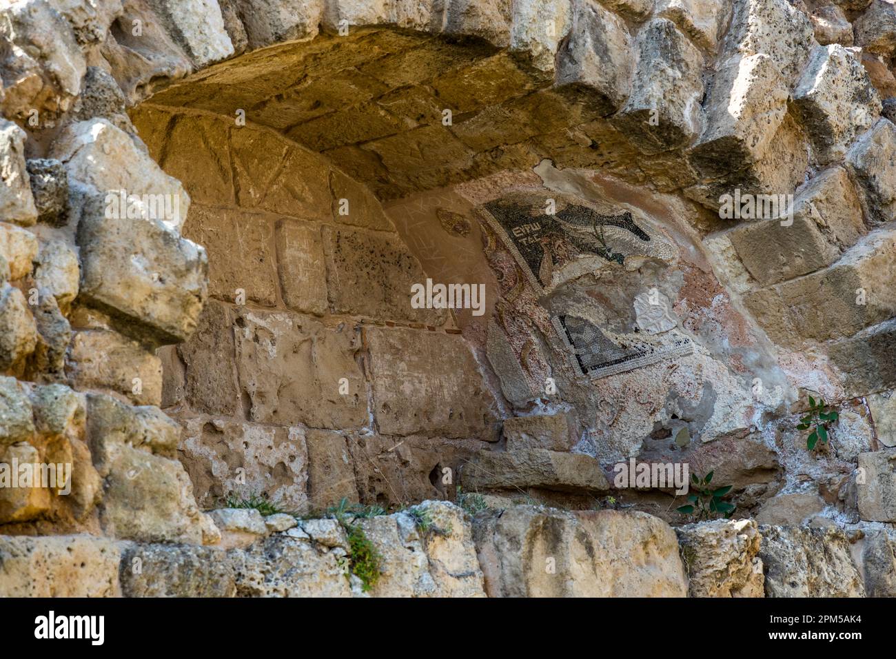 Ruins of the ancient Iron Age citykingdom of Salamis near Agios