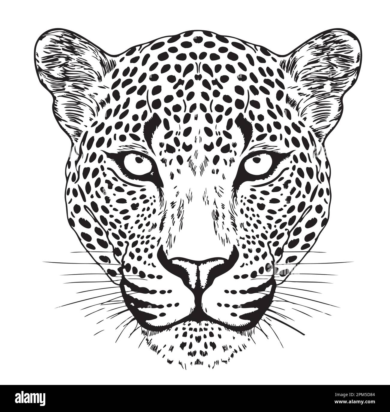 Leopard face hand drawn sketch Vector illustration Wild cat Stock