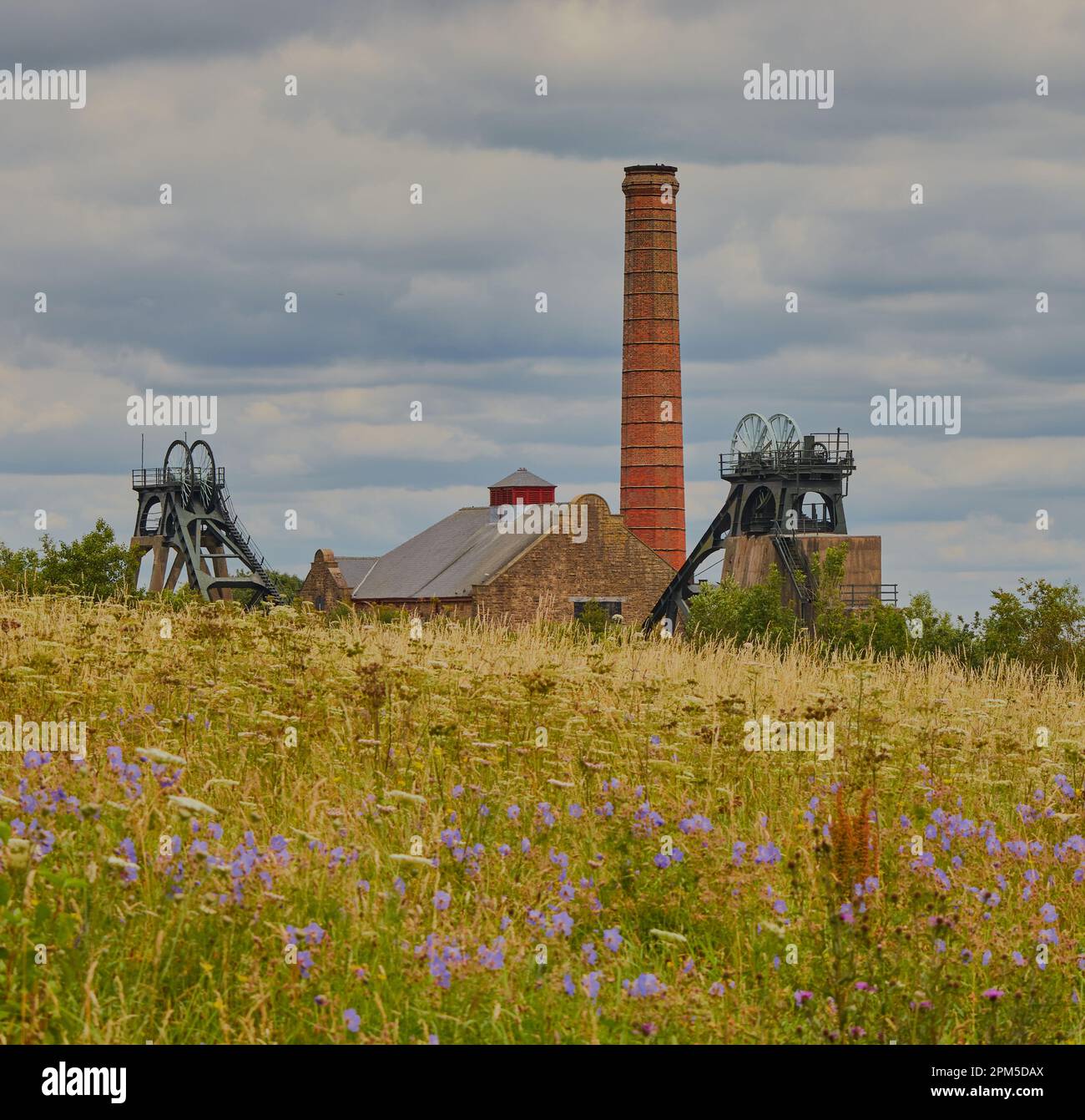 old coal mine in the distance,with a field full of flowers in front of the mine. Stock Photo