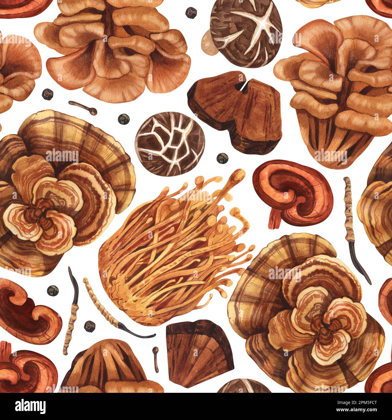 Watercolor seamless pattern medicinal mushroom, adaptogenic plant. Hand