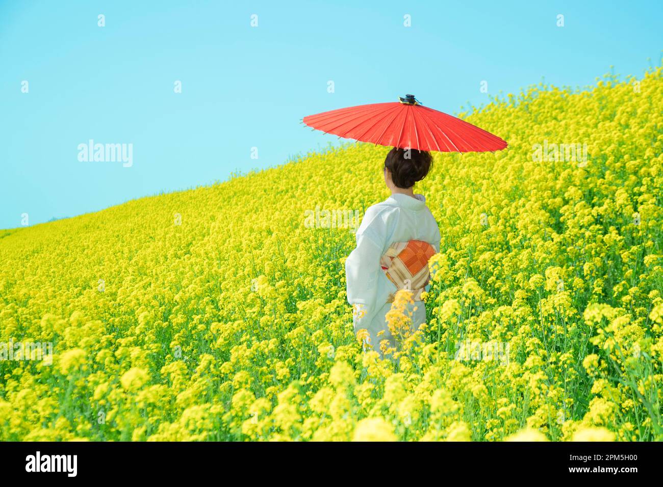 Japanese woman in a beautiful yellow flowers field Stock Photo