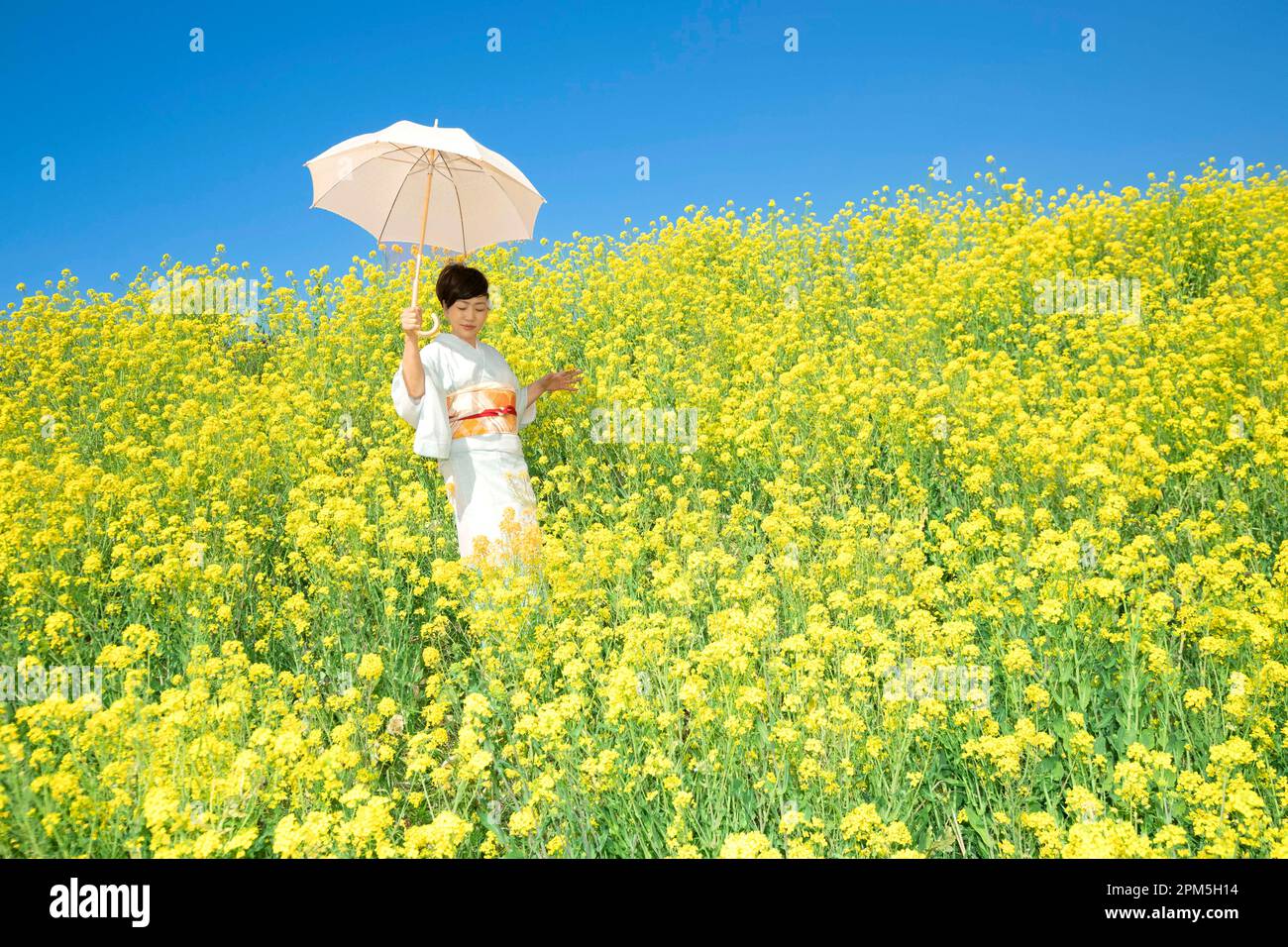 Japanese woman in a beautiful yellow flowers field Stock Photo