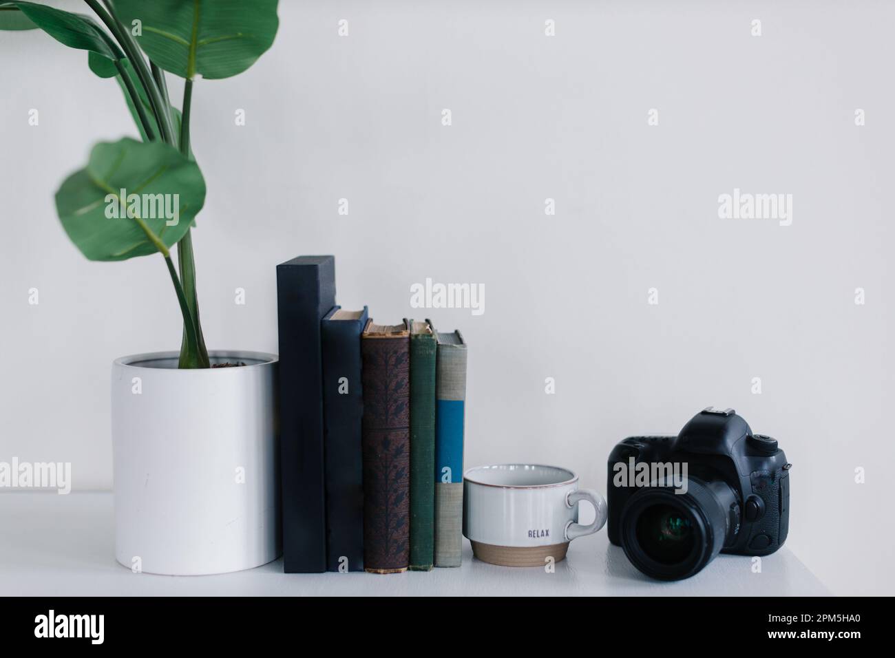 Indoor office shelf with plant, books, camera, mug Stock Photo