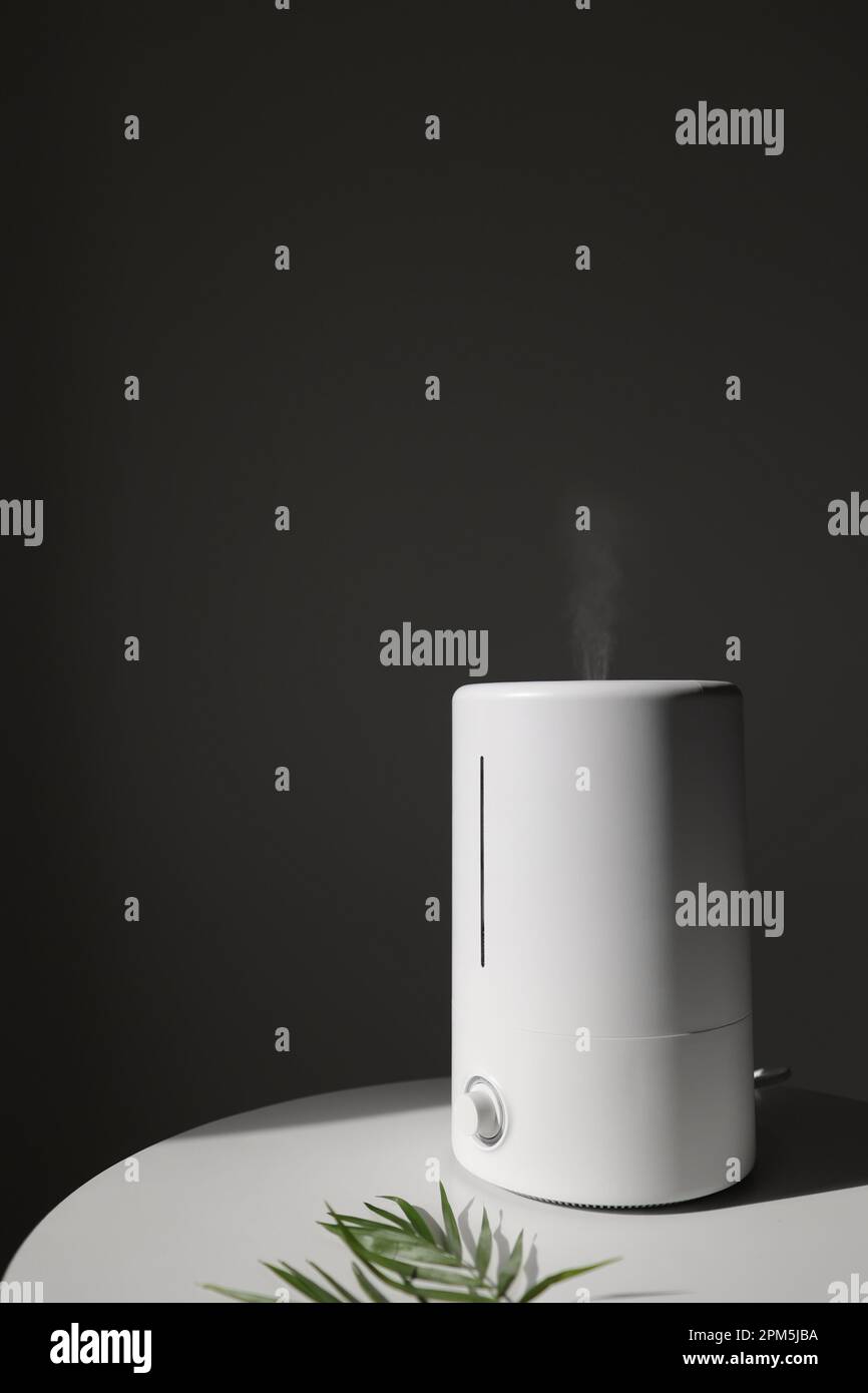 Diffuser air purifier or humidifier releases strong stream of