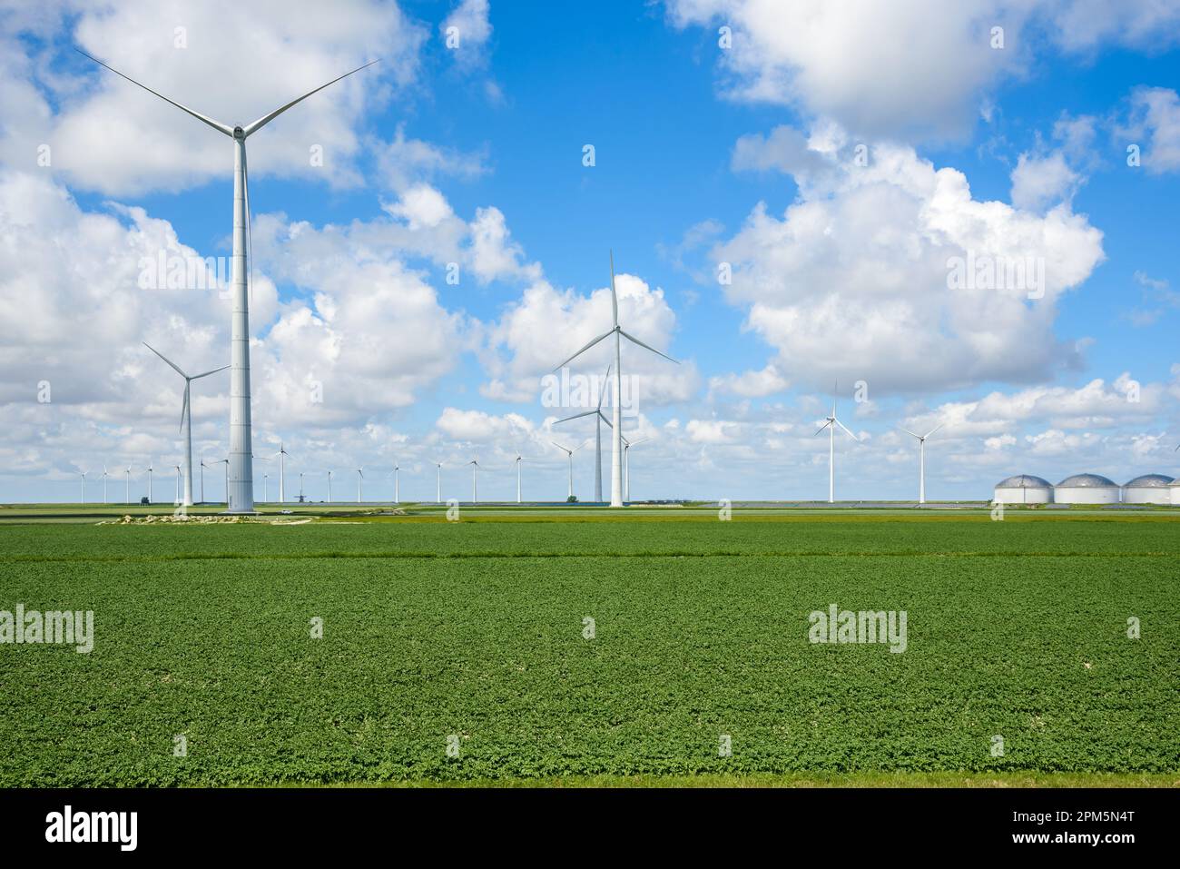 Tall wind turbine in a wind park in the countryside on a sunny summer day Stock Photo