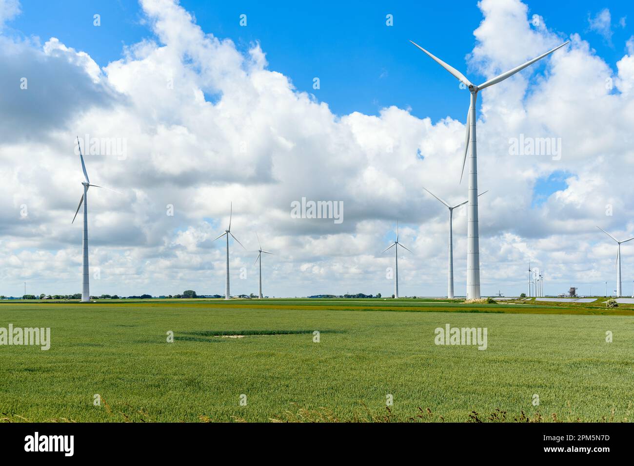 Wind farm and solar panels in the countryside on a sunny summer day Stock Photo