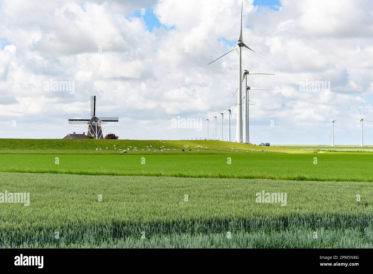 Wind turbines for electricity generation and an old windmill in the countryside of Netherlands on a cloudy summer day Stock Photo