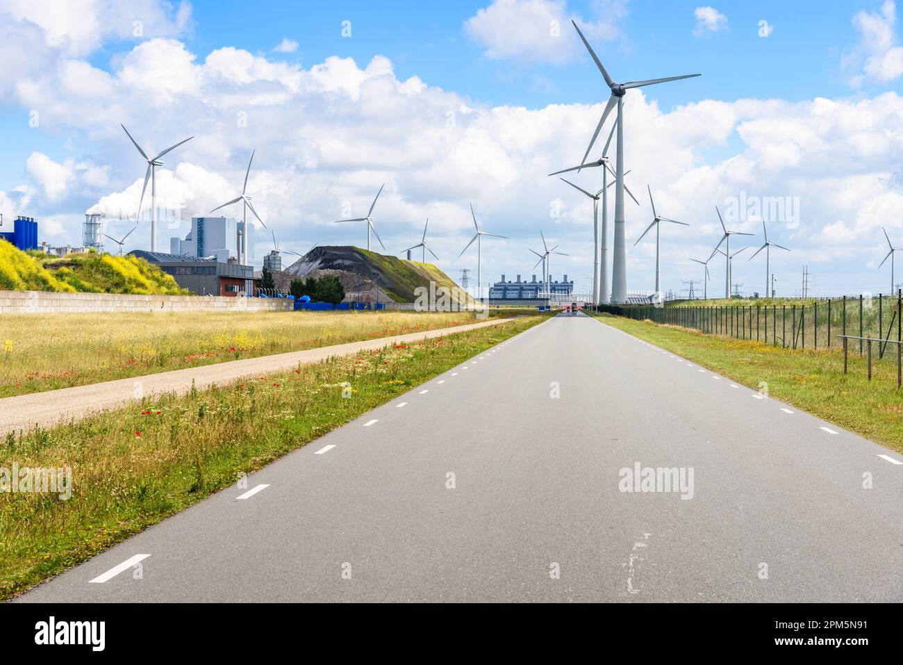 Road lined with wind turbines through an industrial park on a sunny summer day. A oal fired power station is visible on ahe left side of the picture. Stock Photo