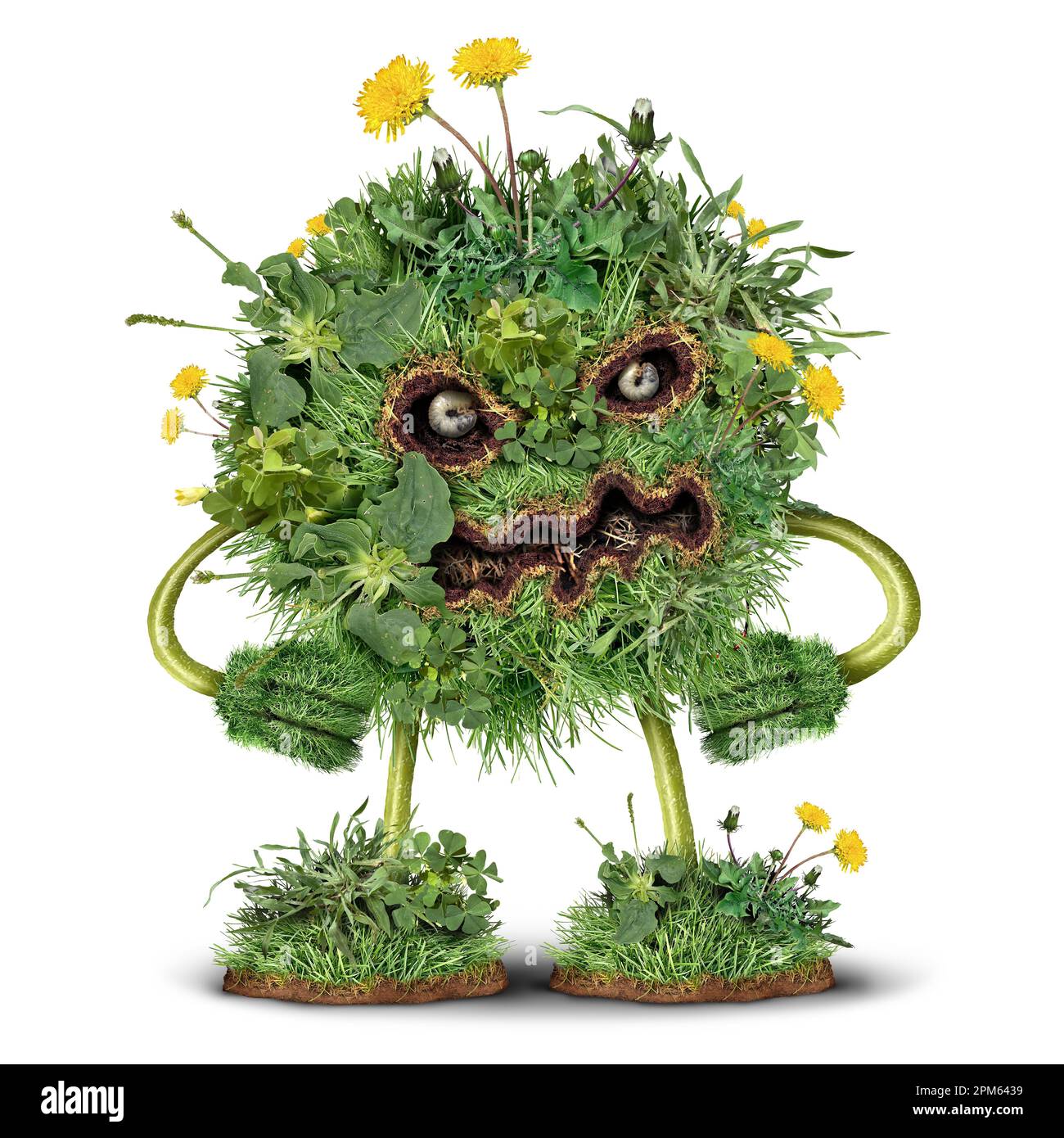 Lawn Weeds character and weed monster as dandelion with clover crab grass pest weeds problem as a symbol for herbicide use in the garden or gardening Stock Photo