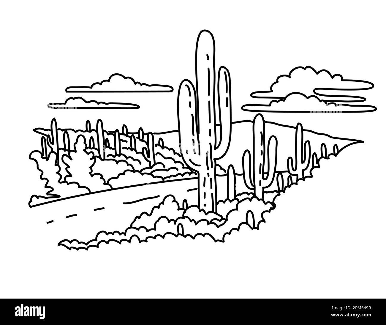 Mono line illustration of Cactus Forest scenic drive in Saguaro National Park, Arizona, United States done in black and white monoline line drawing ar Stock Photo