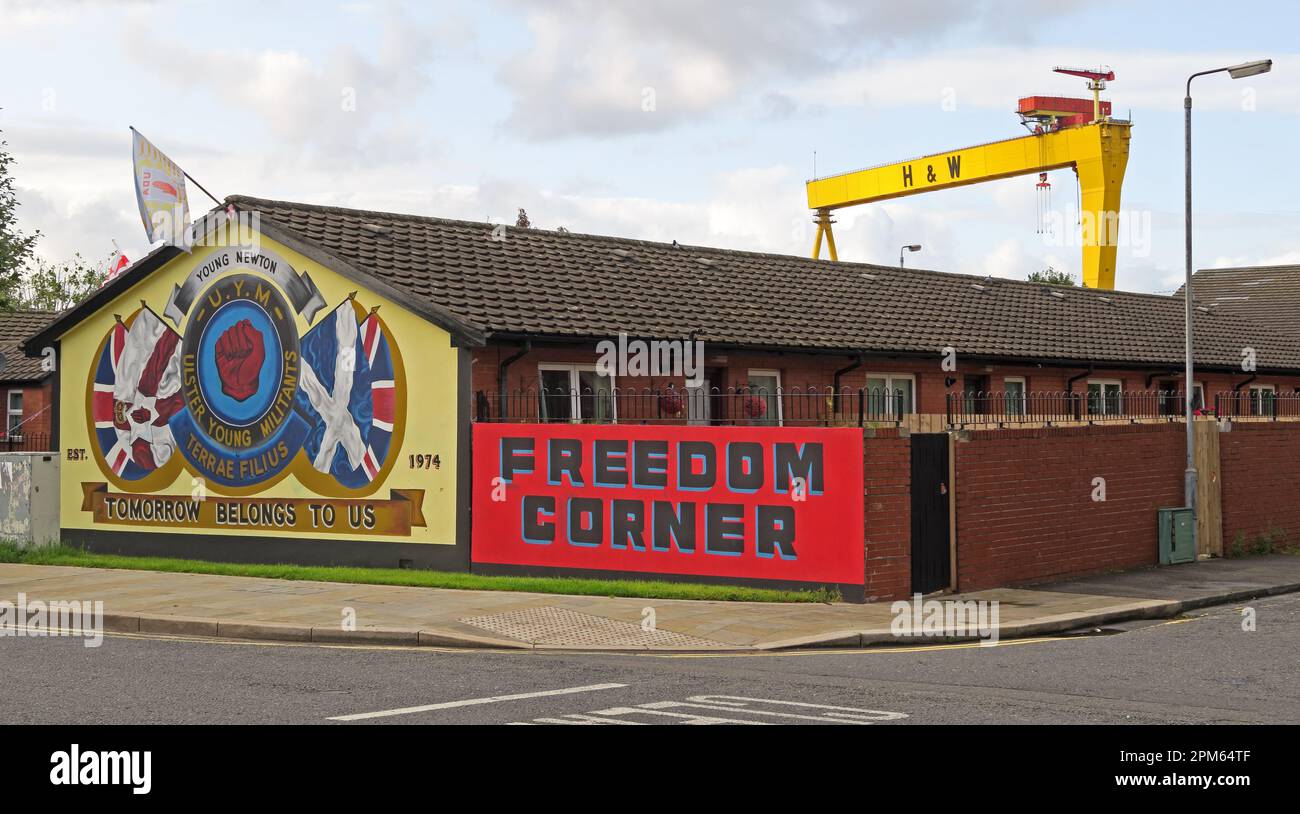 Ulster Young Militants Freedom Corner,Tomorrow Belongs To Us,HW, Harland & Wolff Shipbuilding company yellow crane in background, Belfast, NI, BT4 1AB Stock Photo