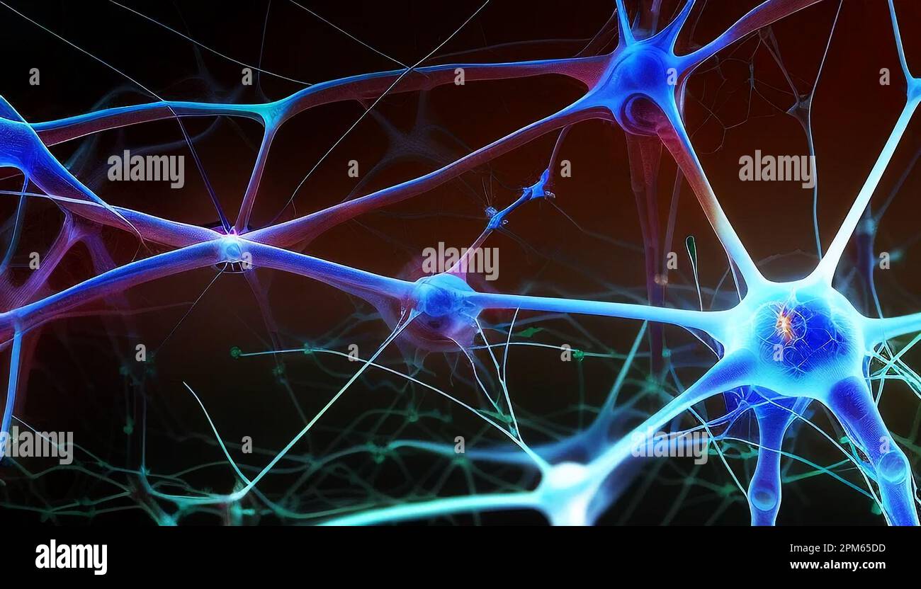 Neurons Nerve Cells Brain Cells Medical Illustration Stock Photo Alamy Neurons Nerve Cells Brain Cells Medical Illustration Stock Photo Alamy