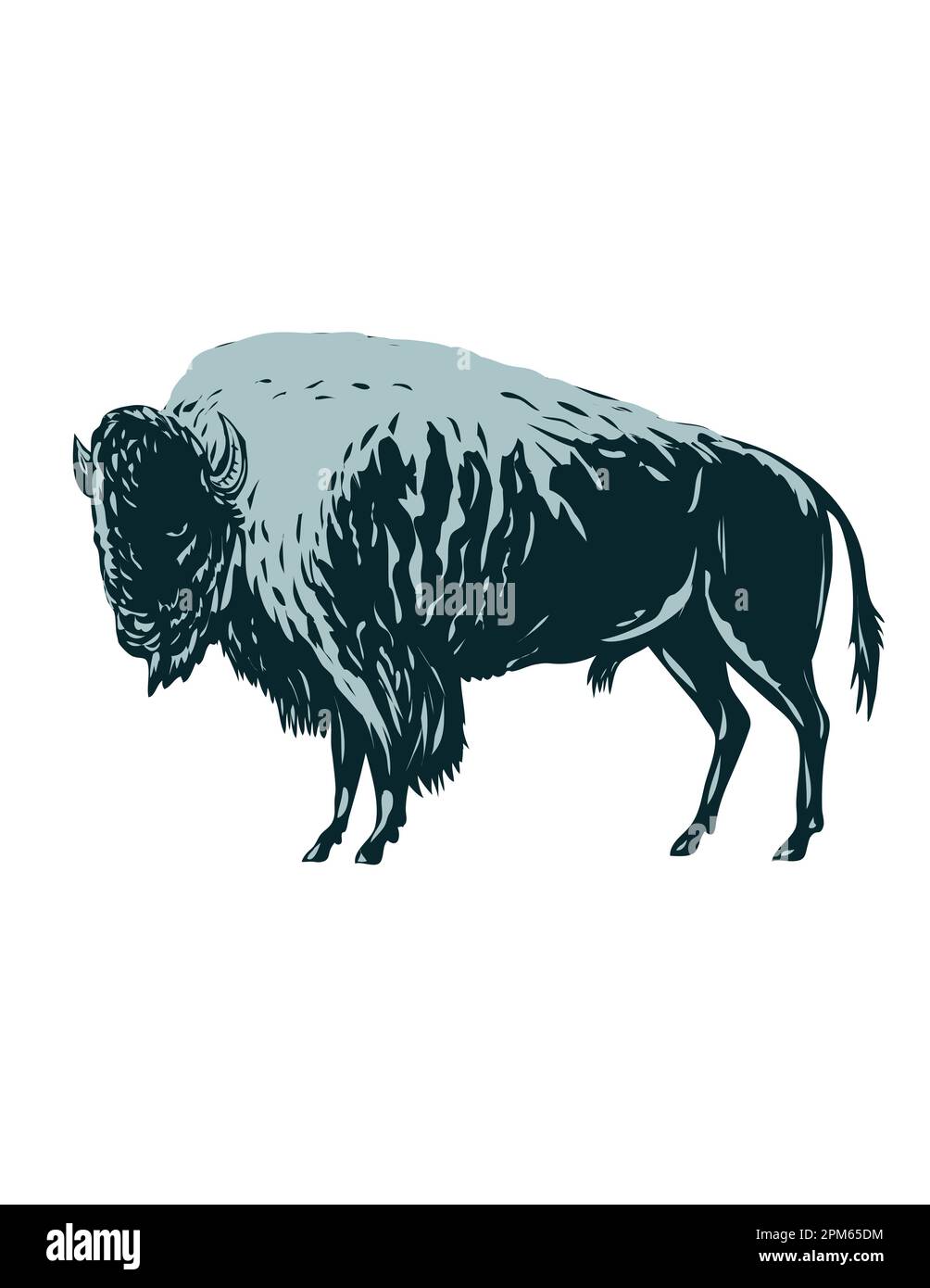 WPA poster art of an American bison, American buffalo or simply buffalo