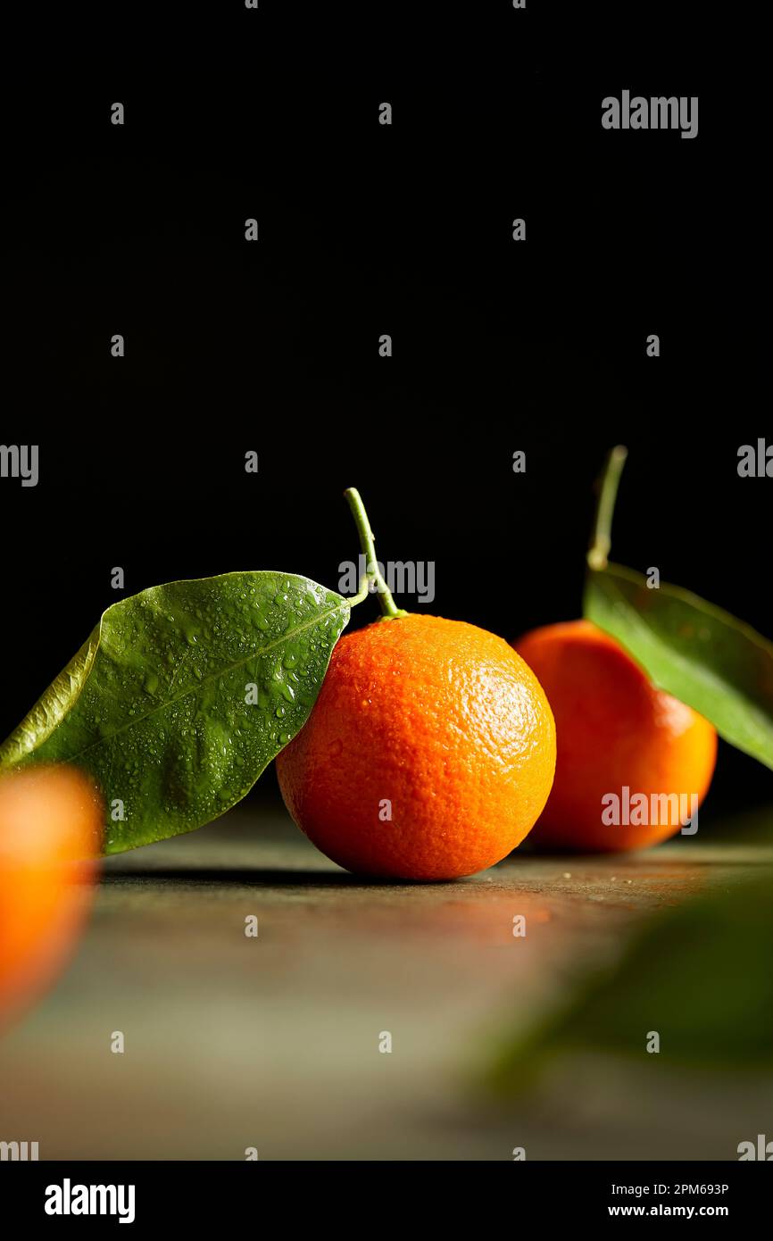 Mandarin Orange on Dark Background Stock Photo