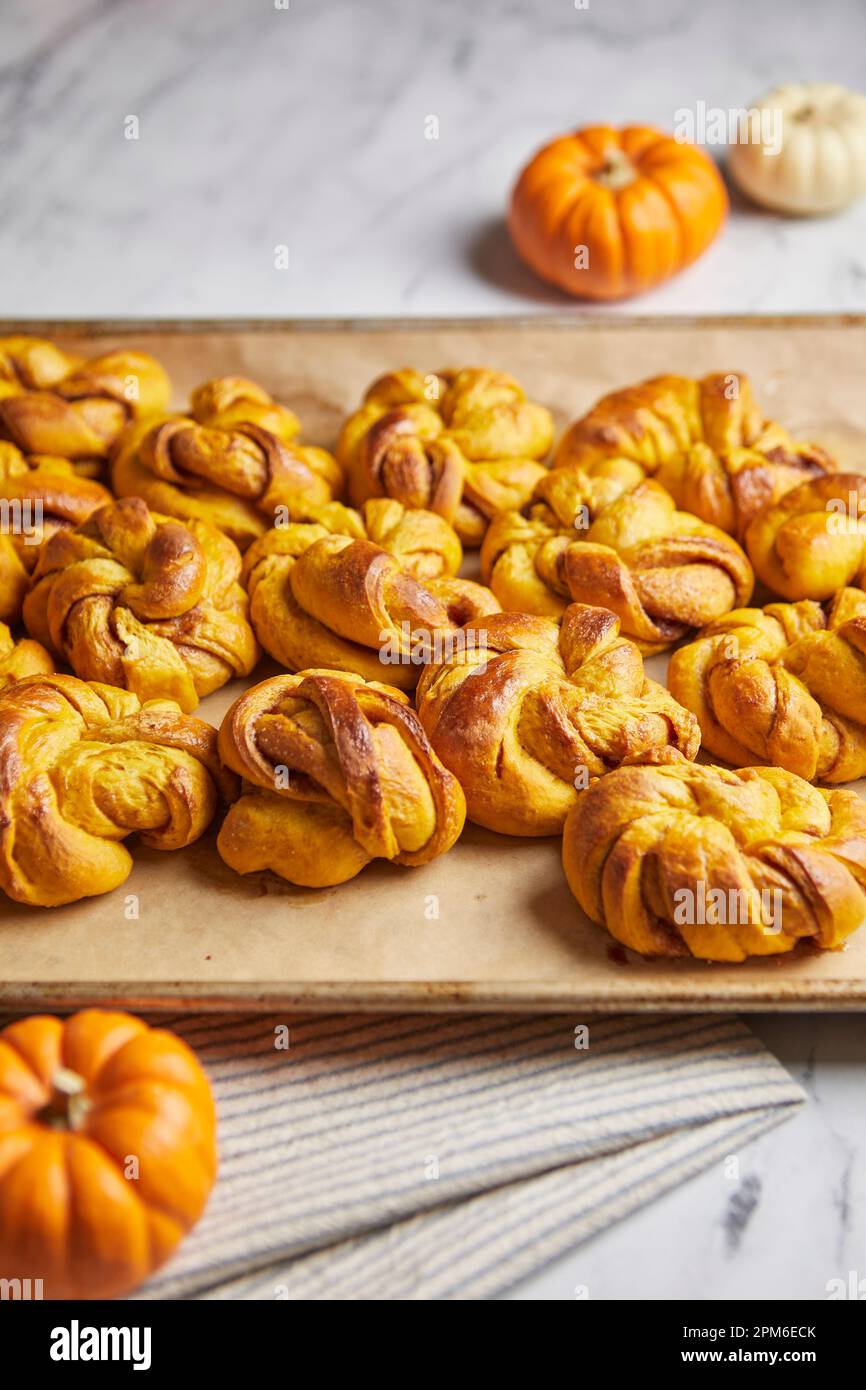 Homemade Pumpkin Cinnamon Knots pastry Stock Photo Alamy