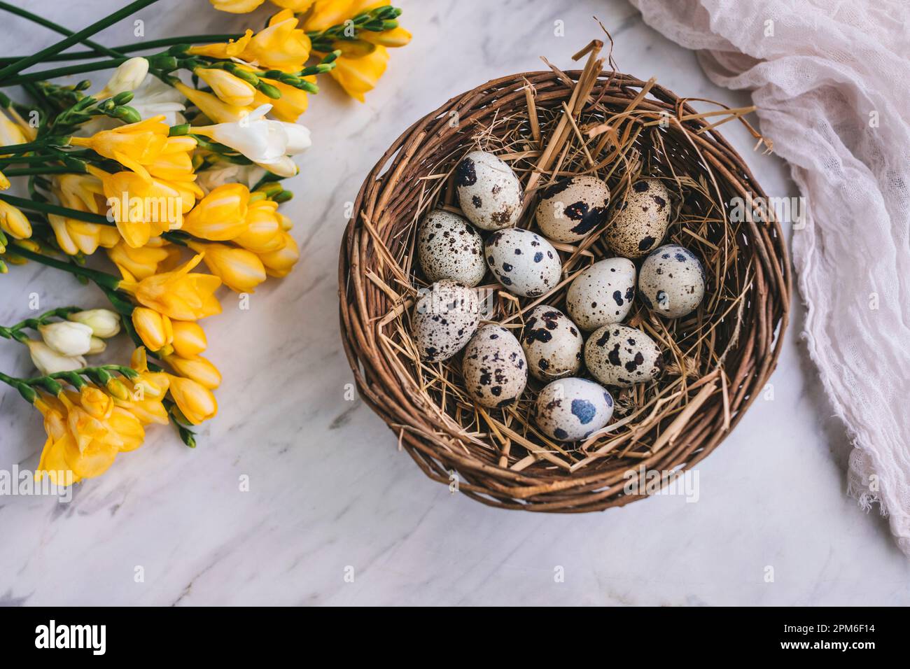 Quail eggs in a basket on white marble background Stock Photo